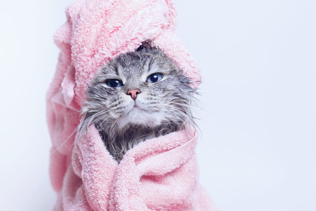 Kat wearing a pink bath towel